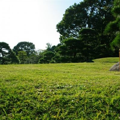 4年来首次！美联储降息50个基点