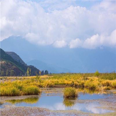 张晋藩：让中国法制史的参天大树根深叶茂