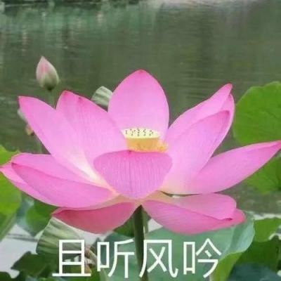 【理论学术动态导读】张凤莲：挖掘和传承中华优秀传统法律文化精华