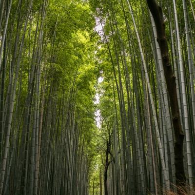 A股董事长辞职！“美的系”人士接任